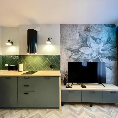 Central Old Town Apartments - Green Loft And Belleview Stary Toruń Zewnętrze zdjęcie
